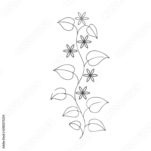 black and white floral background