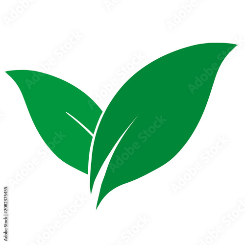 green leaf icon