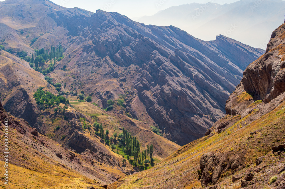 Fototapeta premium Mountain Landscape with Rock Formations and Tree Oasis in Alamut Valley, Iran