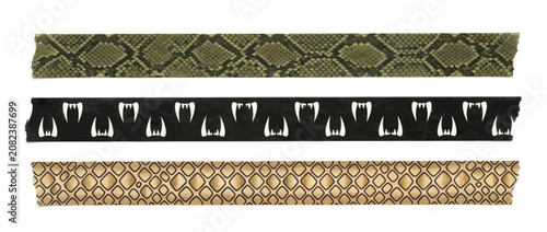 Schilderij op canvas Snake Skin Texture Patterns and Fangs Border Designs
