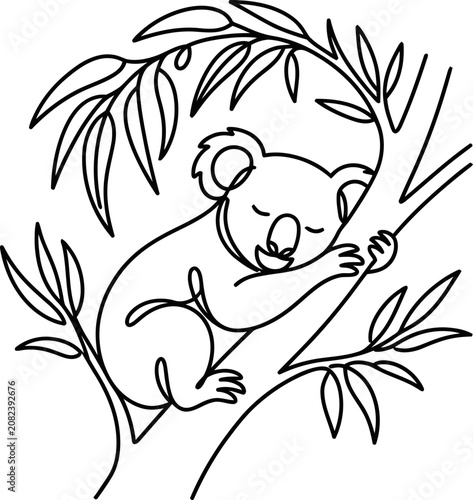 Photography Continuous line art illustration of a cute koala sleeping on a eucalyptus tree branch