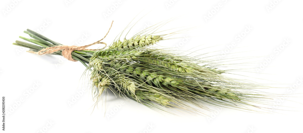 Fototapeta premium Bunch of green wheat spikes isolated on white
