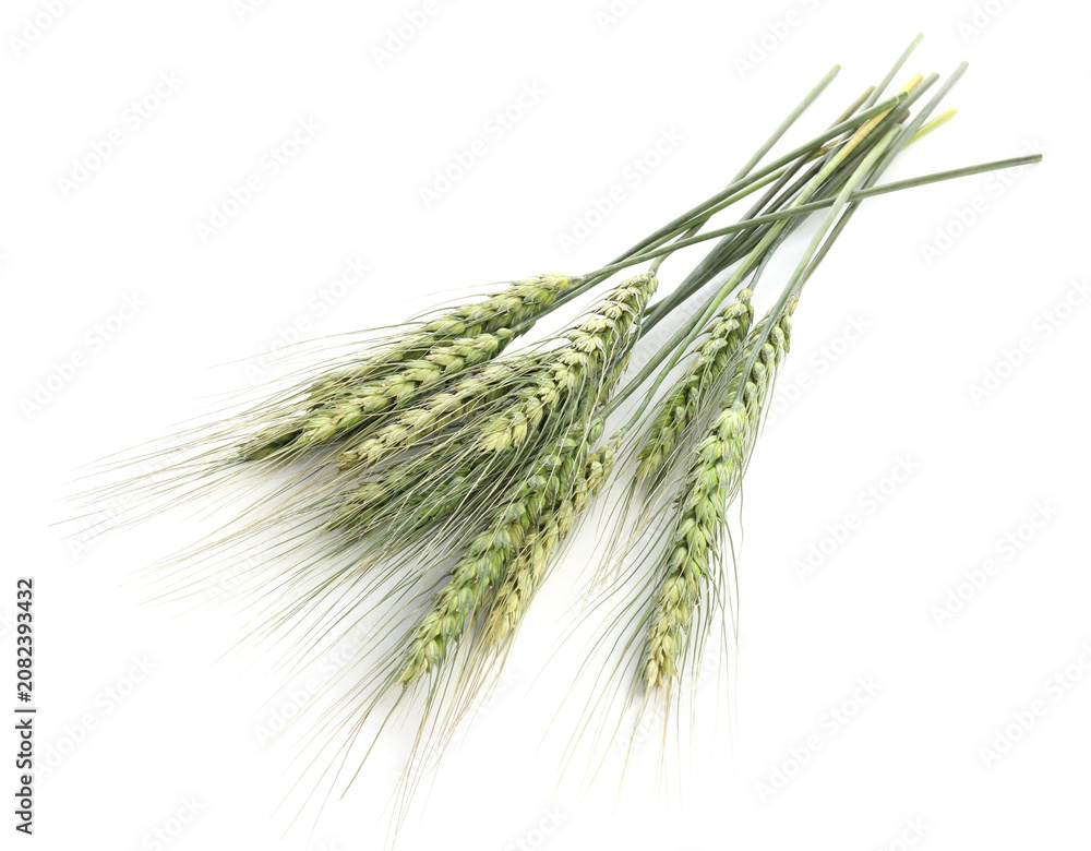 Fototapeta premium Bunch of green wheat spikes isolated on white