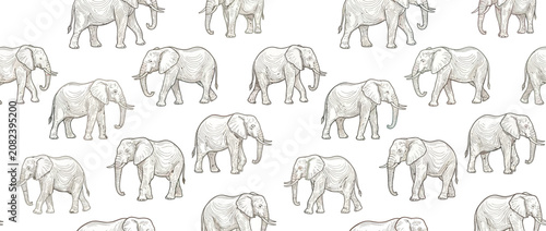 Fotografie Seamless pattern of hand-drawn elephants in sketch style on white background
