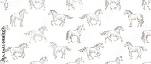 Εκτύπωση καμβά Seamless Pattern of Graceful White Horses in Motion on White Background