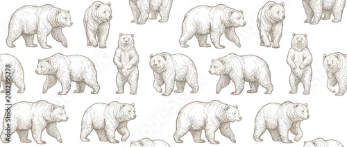 Cuadro en lienzo Seamless pattern of grizzly bears in vintage sketch style, white background