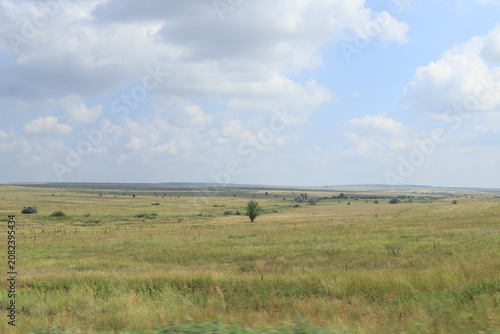 steppe on a sunny summer day