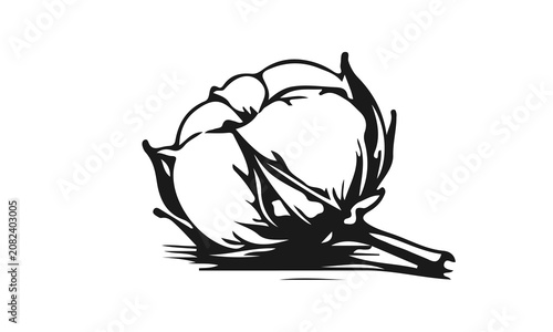 Bild auf Leinwand Simple hand drawn cotton flower boll sketch, engraved fiber textile illustration clip art