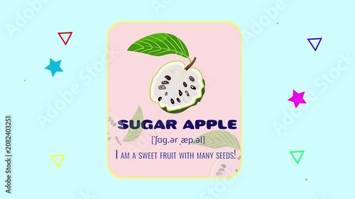 Sugar Apple Fruit Flashcard Animated Motion Graphic