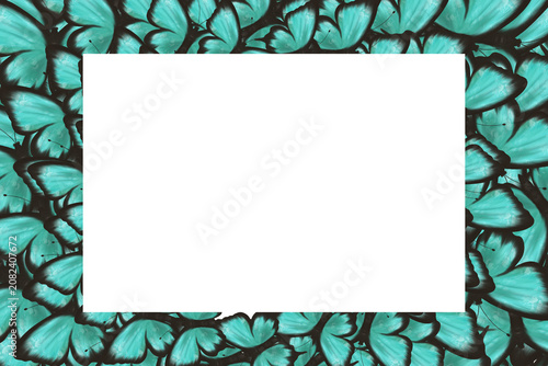 Turquoise butterfly frame with elegant wings forming a decorative border around white copy space. Nature inspired template for invitations, greeting cards, posters, stationery, and branding