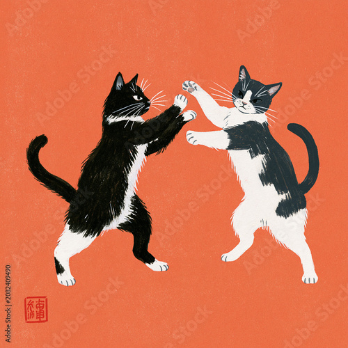 猫の喧嘩。キャッツファイト