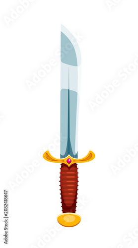 Fotografie Pirate captain cartoon fantasy sword game icon