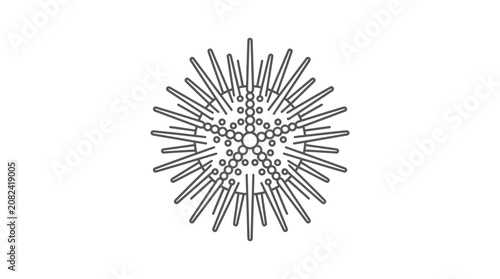 Bild auf Leinwand Sea Urchin Outline Vector Illustration