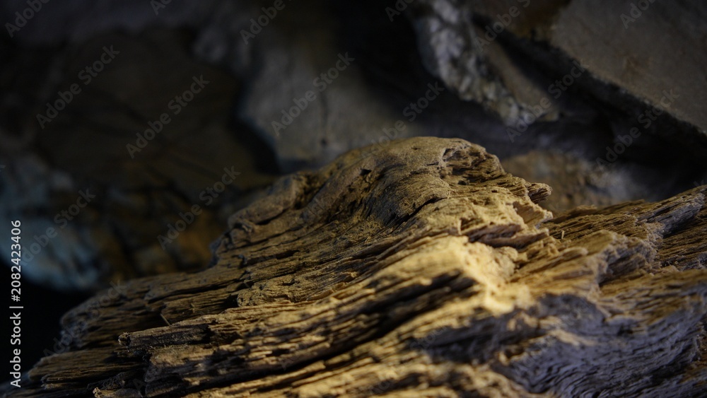 Fototapeta premium Weathered wood ridge with warm light and dark natural background