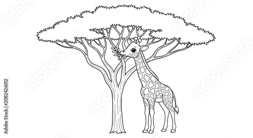 Whimsical outline drawing of a baby giraffe eating leaves from a large acacia tree in the African savanna