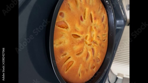 Homemade Apricot Pie with Golden Crust. 4k 