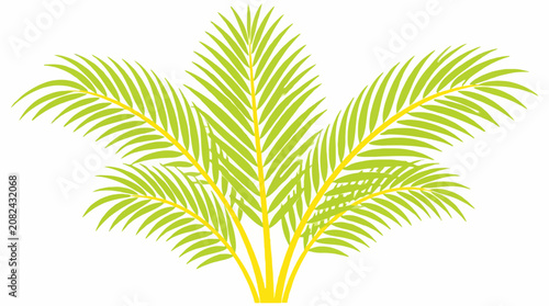 Bild auf Leinwand Vibrant green palm leaf frond isolated on white.