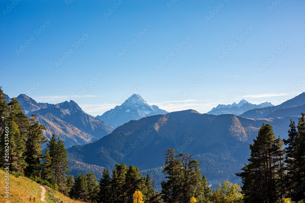 Obraz premium Horizontal caucasus mountain view framed by pine trees under clear blue sky in Arkhyz Karachay Cherkessia Russia.