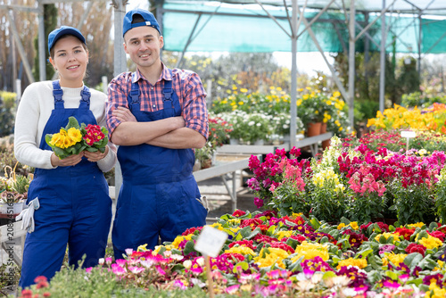 Foto In landscaping store, garden center male and female workers in overalls stands in sales area near section with potted flowers primula