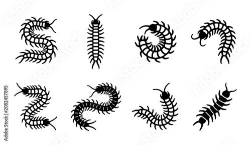 Bild auf Leinwand Black Centipede Silhouettes, Insect Vector Icons, Arthropod Graphics, Creepy Cra