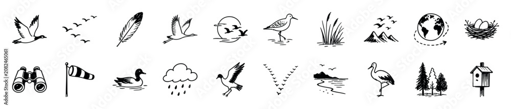 Obraz premium Collection of hand-drawn black and white icons depicting various birds, nature elements, and birdwatching equipment in a sketch style