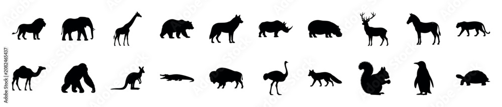 Fototapeta premium Various black animal silhouettes are arranged in two rows, showcasing diverse wildlife species in a clean, graphic style