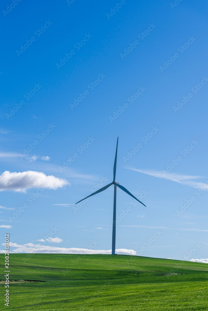 Obraz premium wind turbine on green field