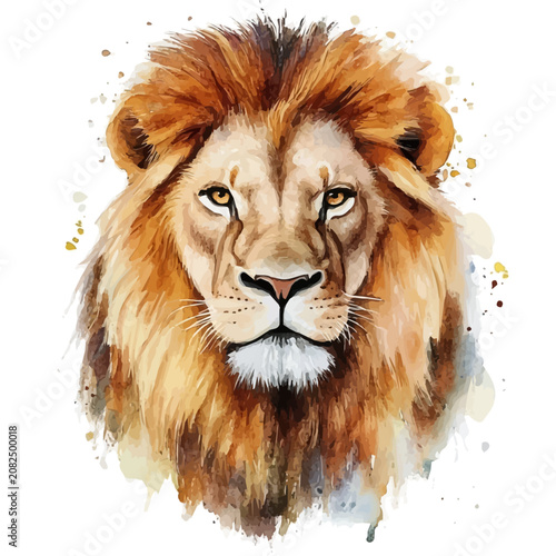 Canvas Print Lion, watercolor clipart vector, isolated on a white background.