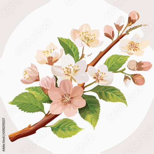 Cherry Blossom Branch with Flowers and Leaves Vector Illustration