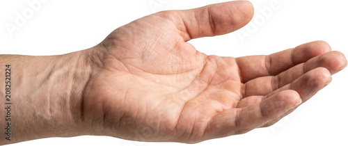 Close up view of a man's open palm and hand extended showing texture lines and veins with a neutral tone and soft lighting open hand human hand male gesture fingers skin detail