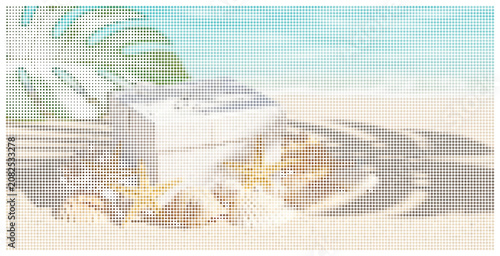Beach scene with white box starfish and seashells on sandy tropical shore.