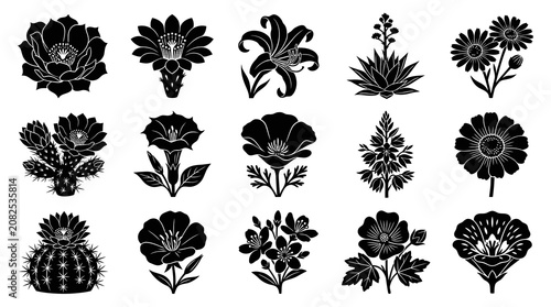 Black  White Botanical Flower  Cactus Glyph Icons - Nature  Gardening Silhouettes Collection
