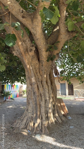 Abha, Saudi Arabia