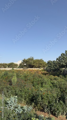 Abha, Saudi Arabia