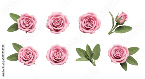 pink rose flowers and green leaves arranged on a pure white background for decorative purposes greeting cards or design elements