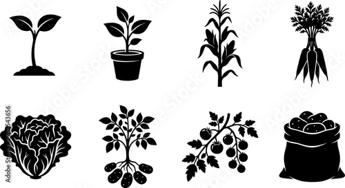 Foto Agriculture and Gardening Silhouette Icons Set with Sprouting Plant, Corn Stalk,