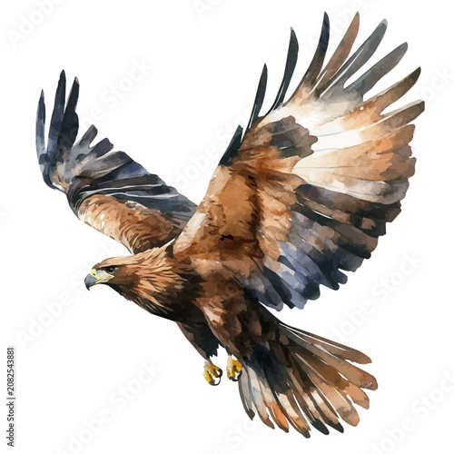 Tableau sur toile Golden Eagle, clipart watercolor vector with gentle, isolated on a white background