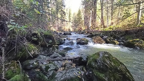 A narrow, turbulent river flowing down from the mountains through an autumn forest on a sunny morning.
