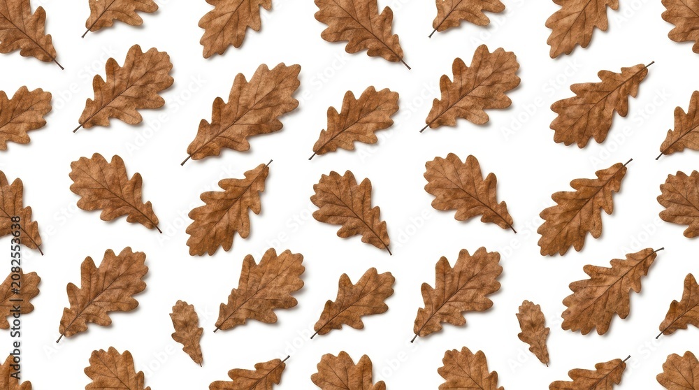Fototapeta premium Autumn Oak Leaves Pattern with Brown and Orange Colors for Seasonal Design.