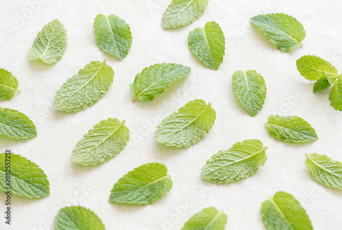 Fresh mint leaves scattered on white textile background