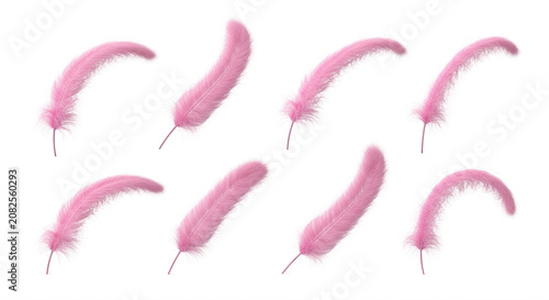 pink feathers floating on a white surface beauty fashion craft or decorative themes offering elegance and softness