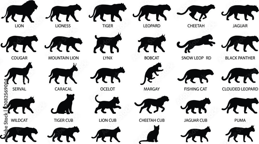 Obraz premium Collection of wild cat silhouettes including lion tiger leopard cheetah jaguar and various predators