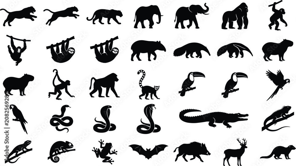 Fototapeta premium Set of black silhouettes of jungle and wild animals on a white background, animal world