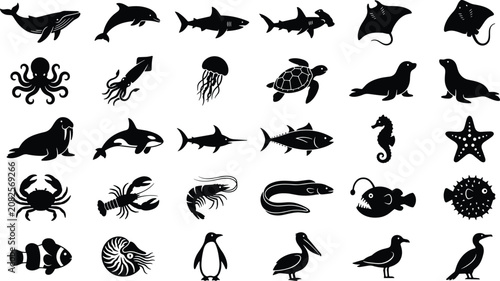 Photography Set of black silhouettes of sea animals on a white background, animal world, und