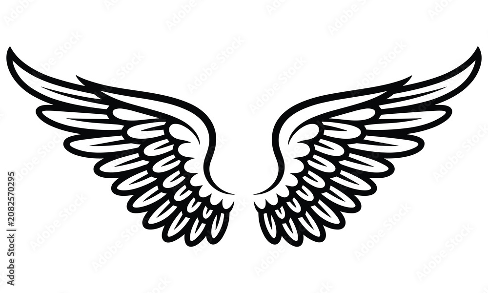 Fototapeta premium Detailed black and white illustration of majestic feathered wings spread wide in a symmetrical design isolated on white background surface