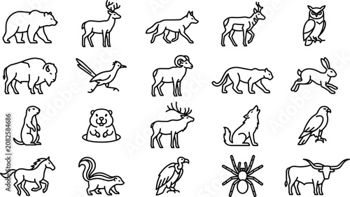 Photography Wild animals minimal outline icons set linear vector illustration including bear