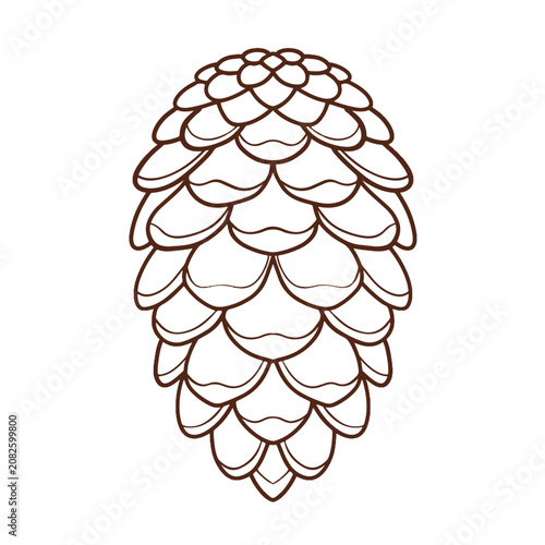 Pine cone vector illustration. Colored and line art icon of autumn forest pinecone isolated on white background.