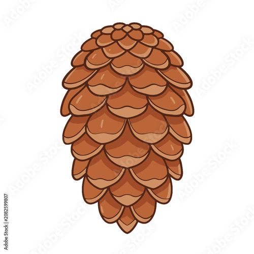 Pine cone vector illustration. Colored and line art icon of autumn forest pinecone isolated on white background.