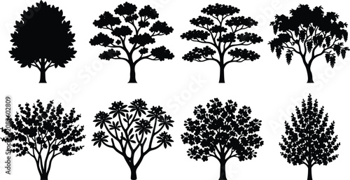 Billede på lærred Collection of black vector tree silhouettes with diverse canopy shapes and branc