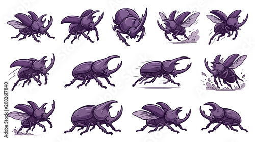 Bild auf Leinwand Purple rhinoceros beetle insect illustration set.